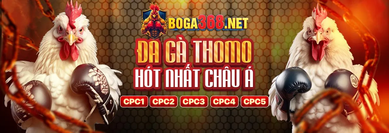 Đá Gà Trực Tuyến Tại Ezbet Link Mới