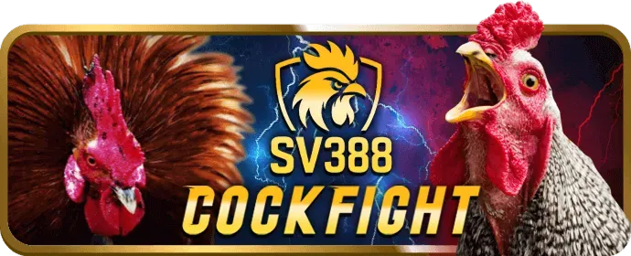 Ưu đãi thành viên mới Ezbet